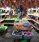 Fresh farm 
